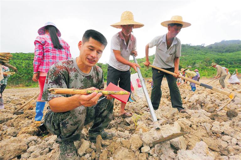 图为隋耀达在田地里与村民一起劳动